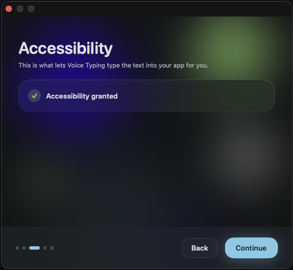 Setup wizard showing Accessibility permission granted