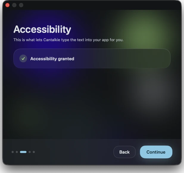Cantalkie setup wizard on the Accessibility step, showing Accessibility granted